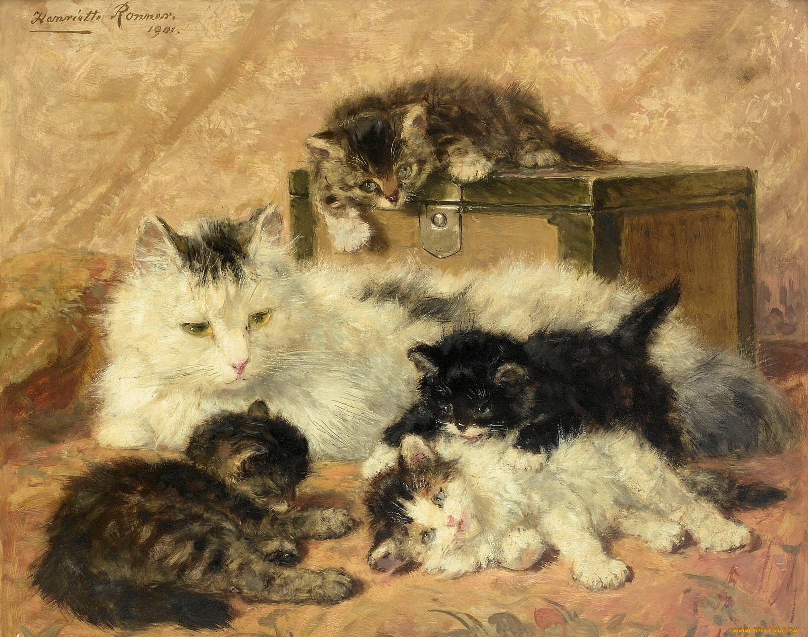 , henriette, ronner, knip, ronner-knip